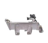 Abgasrückführung Para Master Para Trafic 2,0 2,3 DCi Diesel Enfriador De Válvula EGR 8200719993, 8200620695, 14 73 560 11R, 147356011R EGR Válvula