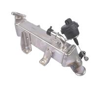 Abgasrückführung Para Vauxhall Para Opel Para Movano Para Vivaro 2,0 2,3 DCi Diesel Enfriador De Válvula EGR 8200719993, 8200620695, 14 73 560 11R, 147356011R EGR Válvula
