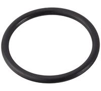 Abicor Binzel 165.0110 Junta Tórica Para abiplus de corte por plasma antorcha, tamaño de 22 mm x 2 mm (20 unidades)