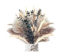 Abiyou Pampas Secas Decoracion, Ramos de Flores Secas Naturales Decoración, Esponjosas Ramas Secas Decorativas, Palitos de Pampas Grass, Hierba de Pampas Natural, para Boda, Hogar, Decoración