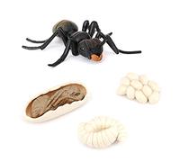 Aboiled Simulación Hormigas Animal Vida Ciclo, Insectos Crecimiento Ciclo Modelo Vida Figuras De Acción Figuras Educativas Niños Juguetes Negras Hormigas