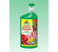 Abono Líquido Orgánica Orgánico Para Geranios Y Plantas Floración LT.1