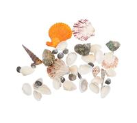 ABOOFAN 2 Guarnición de caracola decoración pecera Adornos pecera Accesorios pecera Manualidades Decorativas Concha caparazón Tanque Decoraciones de Caracol de Cono Adornos de Acuario