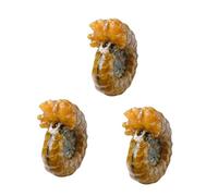 ABOOFAN 3 Piezas fósil de caracol decoración de mesa de comedor adorno de caracola ornamento adorno de piedra de cristal natural piedra en forma de caracola amonitas accesorios Kistler