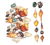 ABOOFAN Conjunto de Conchas Marinas Naturales para Decoración de Acuarios y Manualidades Conchas Pequeñas de Cangrejo Surtido para Adornos Marinos y Proyectos DIY
