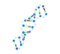 ABOOFAN Educativo de ADN de Doble para Enseñanza de Genética Aulas y Kit de Biología para Actividades Científicas y Ferias de Ciencias