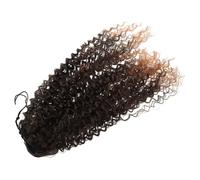 ABOOFAN Extensión de Coleta Rizada Sintética Cordón Ajustable Postizo de Coleta Marrón T1B/ Textura Realista y Ligera para Mujeres Adecuado para Fiestas y Uso Diario