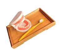ABOOFAN Juguetes Educativos para Cepillado Infantil con de Dientes y Bandeja de Bambú para Enseñar Cepillarse los Dientes y Fomentar la Educación Oral