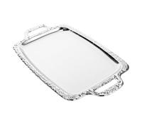 ABOOFAN Plato para Fiestas al Aire Libre y Organizador de Espacio Rectangular de Acero Inoxidable para Servir Comida y Aperitivos, Diseño Elegante Europeo, Multifuncional