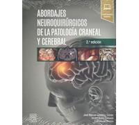 Abordajes neuroquirúrgicos de la patología craneal y cerebral
