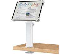 AboveTEK Soporte Antirrobo de Escritorio para iPad, Ajustable con rotación de 360° e inclinación de 180° para tabletas de 9,7 a 13 Pulgadas,Aluminio Resistente, Ideal para el Trabajo-Plata