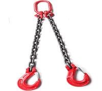 Abrazadera de Placa Vertical, Eslinga de Cadena de elevación de Alta Resistencia con 2 Brazos, Eslinga de Cadena con Ganchos de Agarre, Cadena de Eslinga de 5 toneladas (6613 LB) de capacida