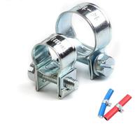 Abrazaderas de manguera de transmisión, 10 Uds., Mini abrazadera, Clips de tubo de gasolina diésel, Kit surtido de aire de inyección de combustible(15-17mm)