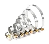Abrazaderas Para Mangueras De Acero Inoxidable 20 unids/set abrazaderas de tubo de acero inoxidable Clips for manguera abrazaderas de tubo de manguera de combustible(20Pcs 10-16mm)