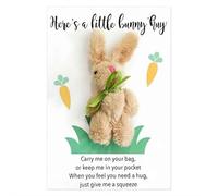 Abrazo de bolsillo de conejo, conejo positivo de Pascua con tarjetas, hecho a mano, regalos positivos de felpa emocional, relleno de cesta de Pascua para amigos y familiares