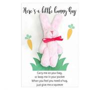 Abrazo de bolsillo de conejo de Pascua, conejo de bolsillo positivo con tarjetas de felicitación, apoyos emocionales hechos a mano, regalos positivos de felpa, cesta de Pascua, regalos de intercambio