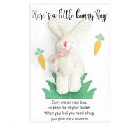 Abrazo de bolsillo de conejo de Pascua, conejo de bolsillo positivo con tarjetas de felicitación, apoyos emocionales hechos a mano, regalos positivos de felpa, relleno de cesta de Pascua, regalos de