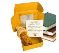 Abrazo De Oso Preocupado - Oso De Peluche Hecho A Mano En Caja | Pequeño Animal De Bolsillo con Tarjeta | Tarjeta Divertida De Un De Peluche Que Te Envía Piensa En Ti