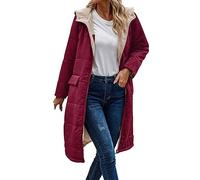 Abrigo de invierno largo para mujer, chaqueta acolchada cálida, elegante, chaqueta acolchada de manga larga, parka de invierno, con cremallera, abrigo acolchado monocolor, abrigo de plumón con capucha