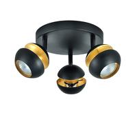 Abrila Beethoven Negro / Oro - Foco Moderno 14X22x22 Cm