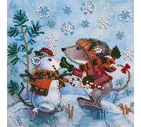 Abris Art AM-212 - Juego de punto de cruz (algodón, 15 x 16 cm), multicolor