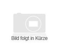 Abschied in die Gegenwart: Teleologie und Zuständlichkeit in der Musik (Studien zur Wertungsforschung)