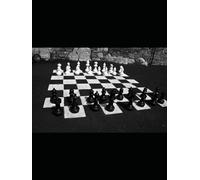“Absolute Equilibrium” of Relativism in Bio-Stasis: How to Achieve Multilateral Wins in Complex Game Theory (Equilibrium Nocturne)