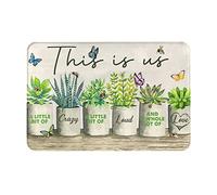 Absorbente Acolchado Lavable Alfombra Entrada Suculentas Esto Somos Nosotros Un Poco De Locura Premium Alfombra Interior De Bienvenida para Cocina Pasillo Tienda 40X60Cm