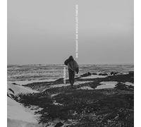 Abstraxion – She thought she would last forever – Vinilo