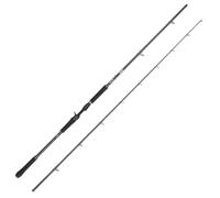 Abu Garcia Beast X Casting Rod, Freshwater Angler Fishing for Pike Perch & Zander, Strong Leightweight & Versatile, Green, Ambidextrous Carbon Fish Rod