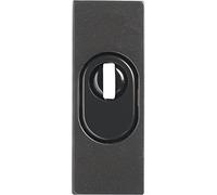 Abus 09403 RSZS316 B7 SB - Embellecedor de cerradura con perfil para bombín para puertas metálicas, color marrón oscuro