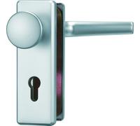 ABUS 264399 - Placa para empujar para puertas