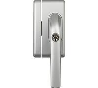 Abus 37194 FO400N S AL0125 - Tirador adicional para ventana con cerrojo, color plateado