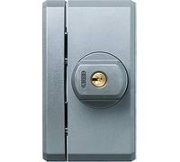 ABUS 78556 Ventana de Seguridad Adicional con Alarma, Plata, verschiedenschließend