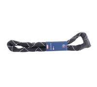 Abus Iven Chain 8210 110cm Cerradura para bicicletas Talla única Negro