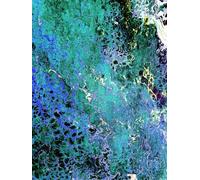 Abyssal Garden - Abstract Art: Sketchbook, Journal, Idea Center - A Blank Book to Fill with Art, Thoughts & Feelings: 8.5x11 | 150 Unlined White Pages | For Artists, Creatives & Gift-givers