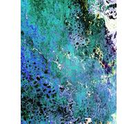 Abyssal Garden - Abstract Art: Sketchbook, Journal, Idea Center - A Blank Book to Fill with Art, Thoughts & Feelings: 8.5x11 | 150 Unlined White Pages | For Artists, Creatives & Gift-givers