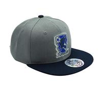 ABYSTYLE - Harry Potter - Gorra - Gris & Azul - Ravenclaw