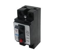 AC 110V 220V 15A 2P ELCB -Professional - Disyuntor de fuga