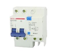 AC 230V 63A Protección de sobrecarga 2 polos ELCB -Professional - Disyuntor fuga