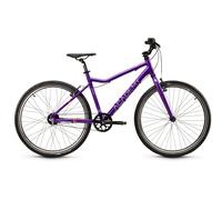 Academy Grade 6 Belt - 26" Purple Bicicleta infantil
