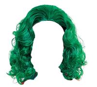 Acan Peluca verde de payaso loco para jóvenes y adultos, complemetos de disfraces para carnaval, halloween u otras celebraciones. 29 x 23 x 4 cm