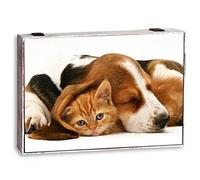 Acan Tradineur - Tapa de Madera para Contador Decorada, Cubre Cuadro de luz con Cierre metálico, Accesorio Decorativo, Original, Resistente (Perro y Gato, 46 x 31 x 5,6 cm, Modelo Aleatorio)