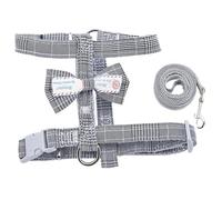 Acaricie el diseño Determinado del Portal de la Correa al Aire Libre del arnés del Perro del Perro de los Suministros(Grey,S)