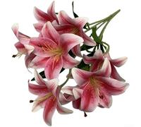 Accarugty, Flores artificiales de lirio de 59 cm, tallos florales de imitación con pétalos impresos en 3D para boda, decoración del hogar, accesorios de fotografía, decoración de flores de mesa (polvo