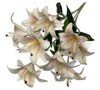 Accarugty, Flores artificiales de lirio de 59 cm, tallos florales de imitación con pétalos impresos en 3D para boda, decoración del hogar, accesorios de fotografía, decoración de flores de mesa (vino