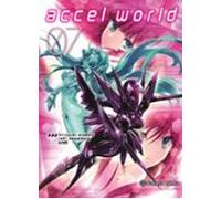 Accel World Nº 07/08