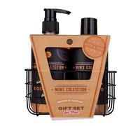 Accentra Set de regalo para hombre Collection en cesta de alambre, incluye 300 ml de champú de 300 ml, aroma de abedul y cedro, color marrón