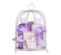 Accentra - Set de regalo para mujer LAVENDEL en una bonita cesta de alambre - Set de cuidado de 3 piezas con gel de ducha y loción corporal - Set de regalo de bienestar para cumpleaños o Navidad
