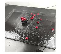 Accesorio acrílico flotante transparente para fotografía, vitrina acrílica de 8 mm de grosor, tanque de agua plano, caja de almacenamiento portátil para alimentos y cosméticos (25 x 10 x 10 cm)